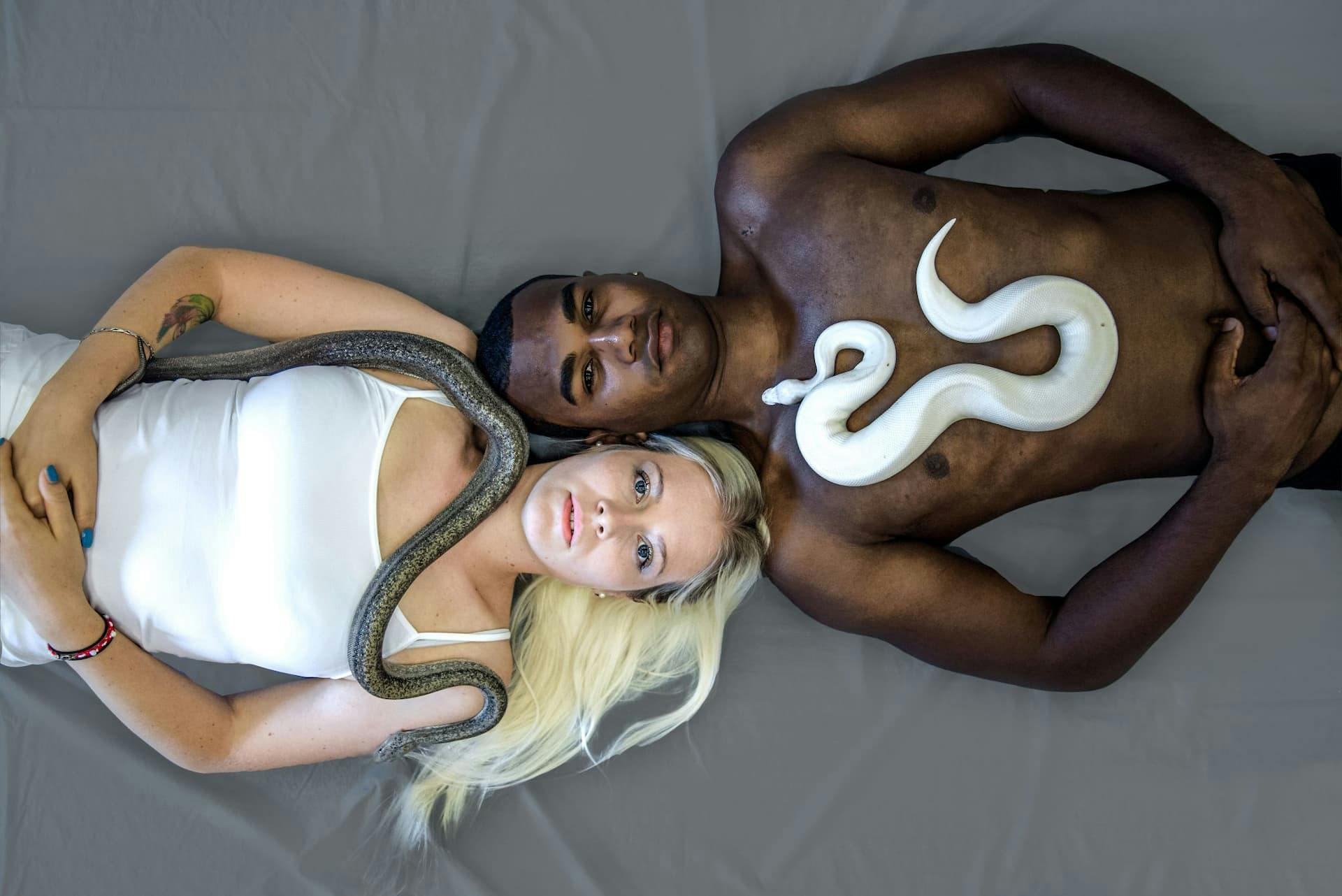 bianco nero opposti contrario serpente albino